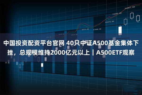 中国投资配资平台官网 40只中证A500基金集体下挫，总规模维持2000亿元以上｜A500ETF观察
