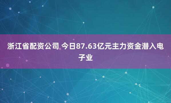 浙江省配资公司 今日87.63亿元主力资金潜入电子业